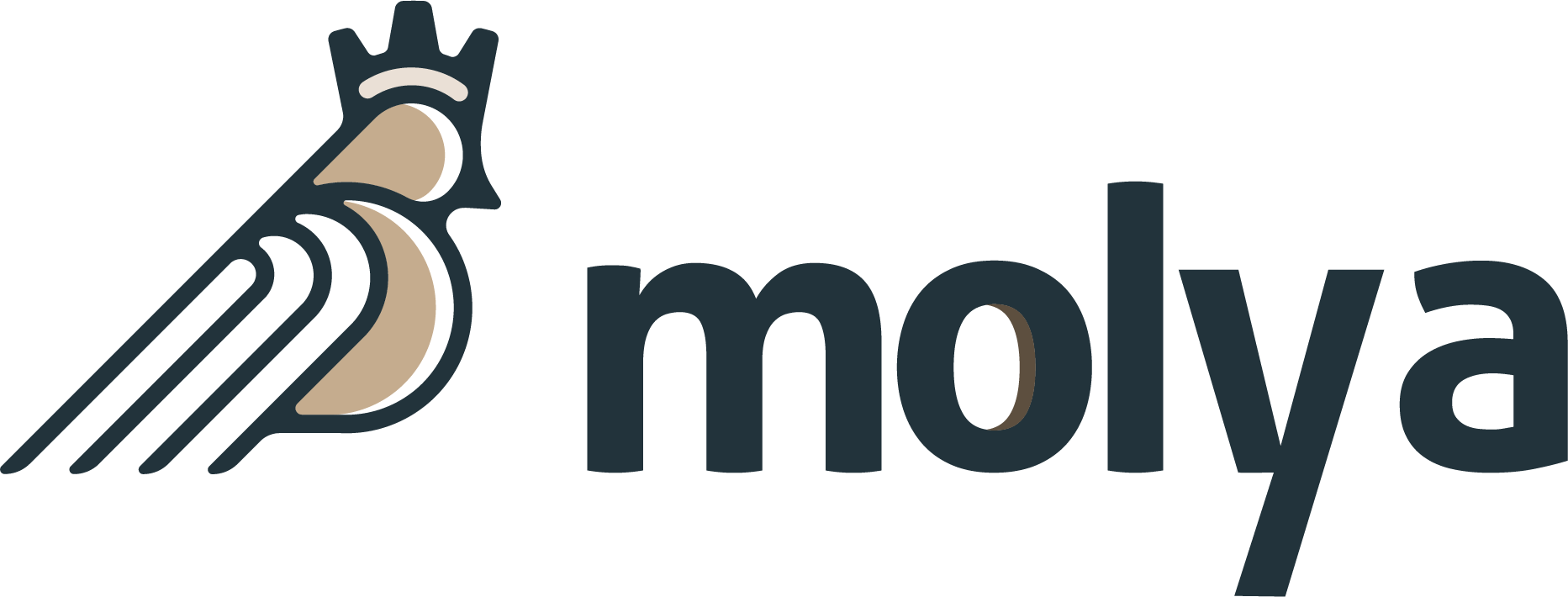 Molya logo in a modern horizontal layout featuring the word Molya in a stylized font on a clean background, conveying a professional and welcoming atmosphere